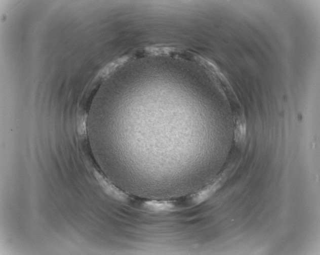 X0000087520477200705112011