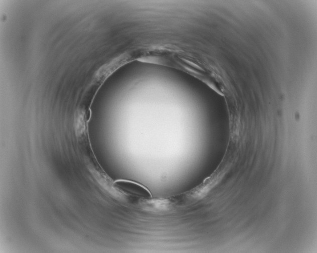 X0000087520478200705112011