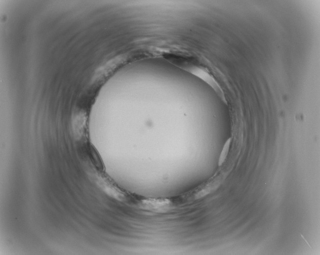 X0000087520480200705112011