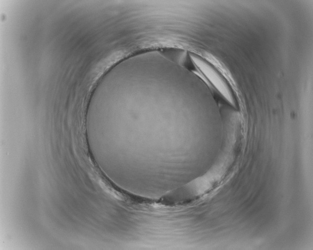 X0000087520481200705112010