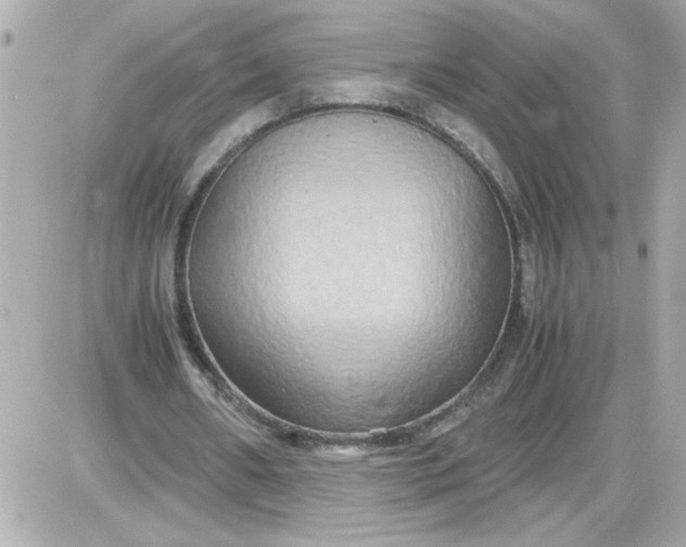 X0000087520482200705112010