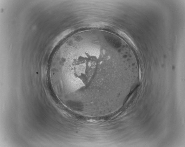 X0000087520483200705112010