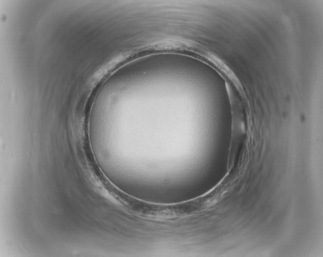 X0000087520485200705112010