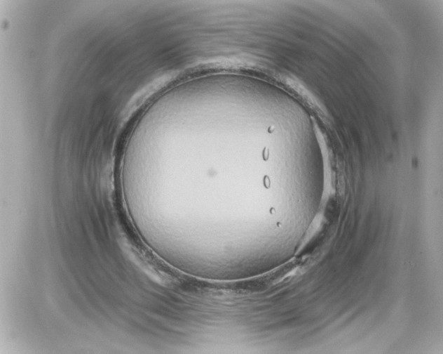 X0000087520486200705112010