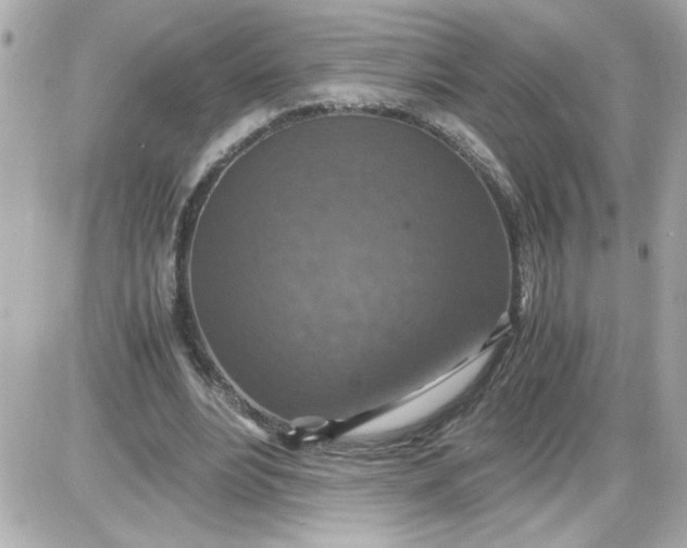 X0000087520488200705112010