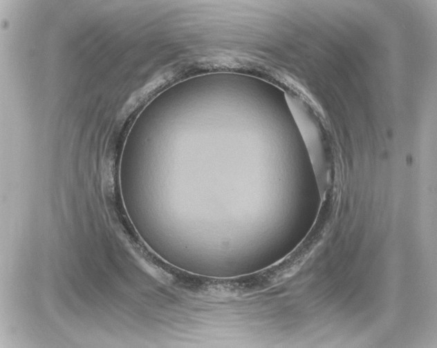 X0000087520489200705112010