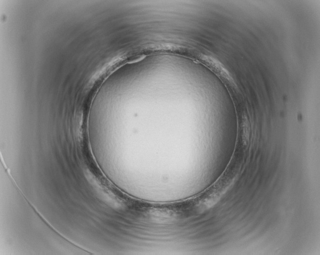 X0000087520490200705112010