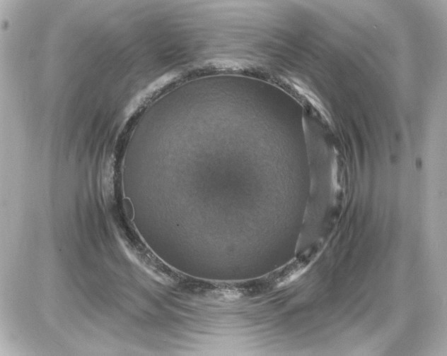 X0000087520492200705112010