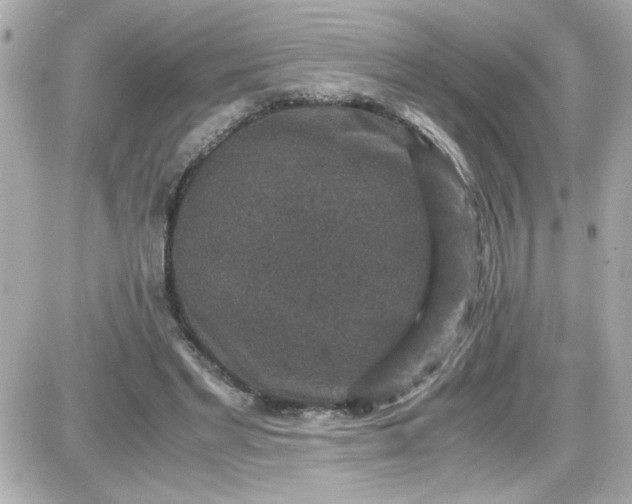 X0000087520493200705112010