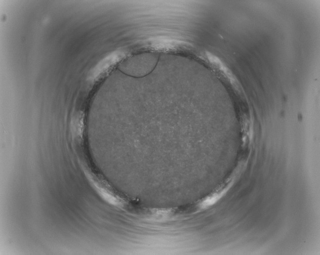 X0000087520495200705112010