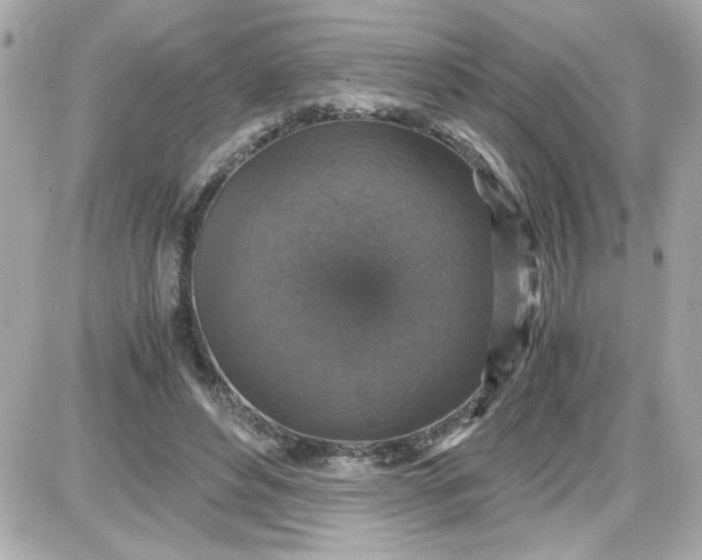 X0000087520496200705112010