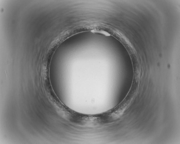 X0000087520497200705112010