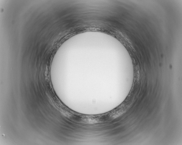 X0000087520498200705112010