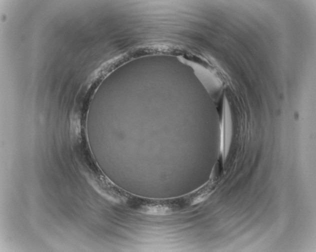 X0000087520500200705112010