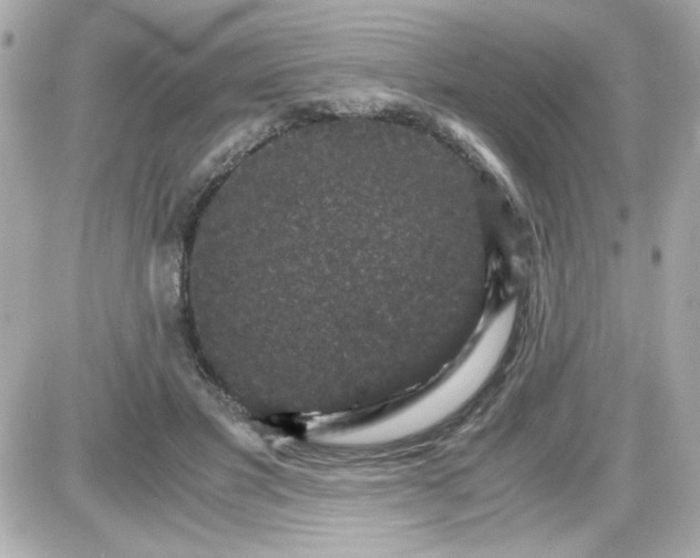 X0000087520501200705112010