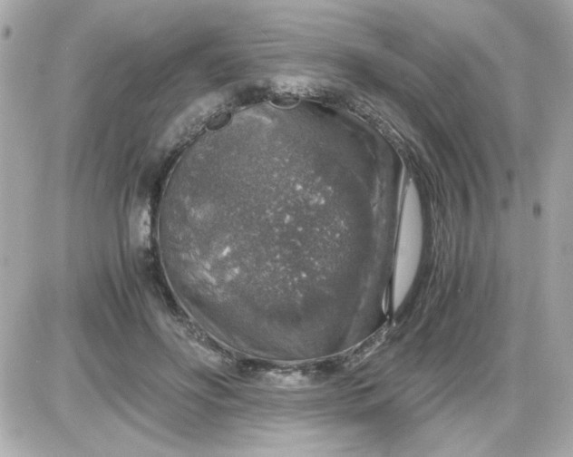 X0000087520502200705112010