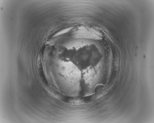 X0000087520503200705112010