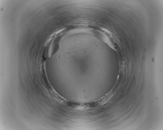 X0000087520504200705112010