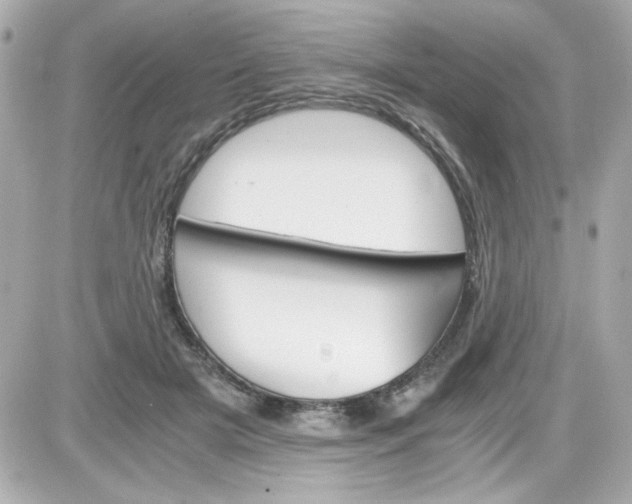 X0000087520505200705112010