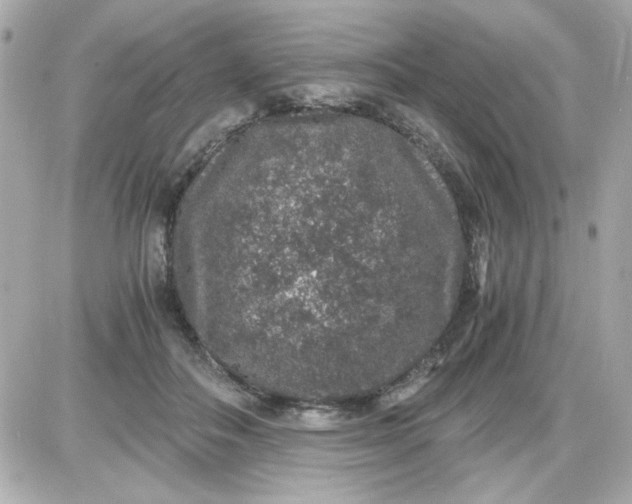 X0000087520506200705112010