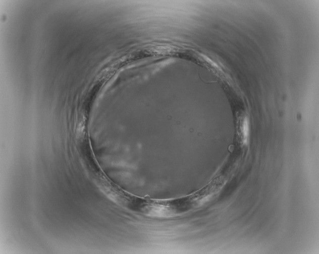 X0000087520507200705112010