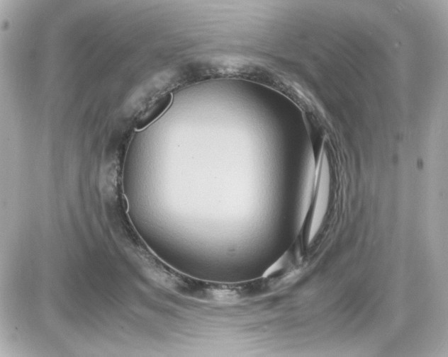 X0000087520509200705112010