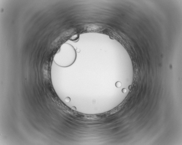 X0000087520510200705112009