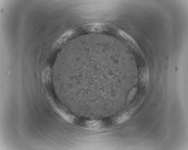 X0000087520511200705112009