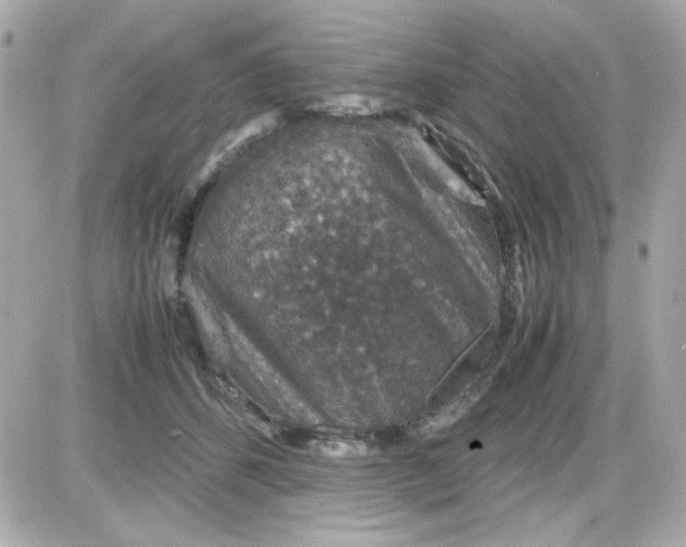 X0000087520512200705112009