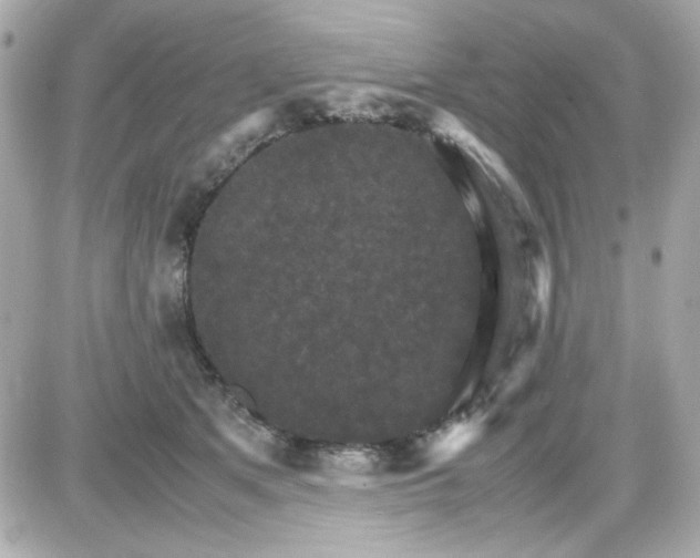 X0000087520513200705112009