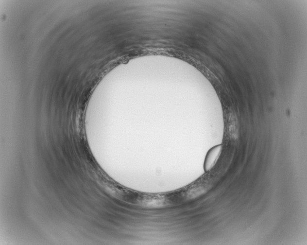 X0000087520514200705112009