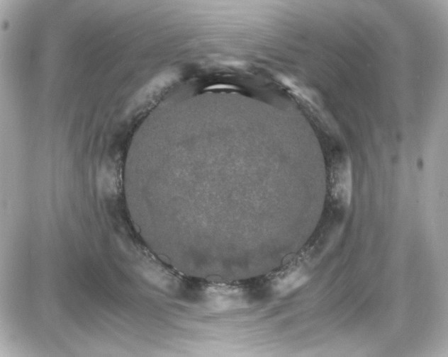 X0000087520515200705112009