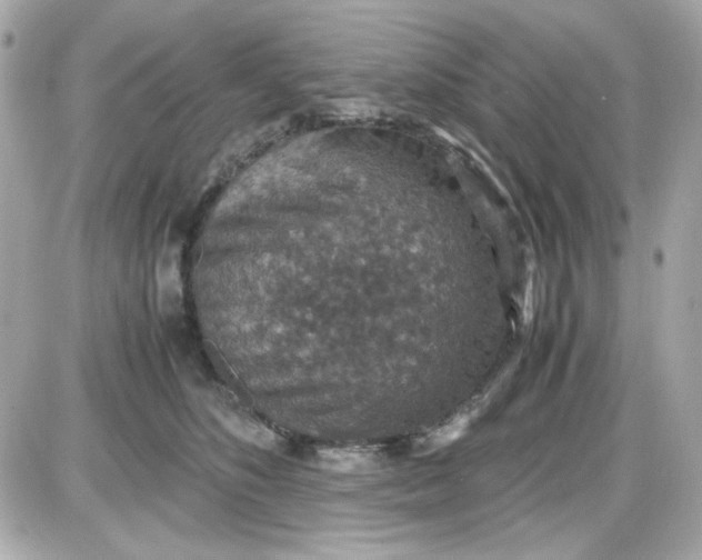 X0000087520516200705112009