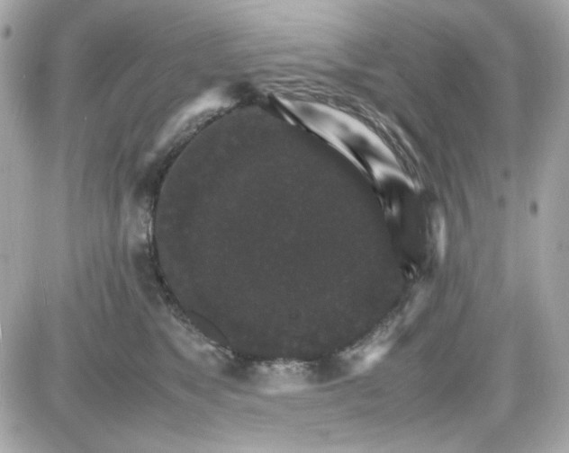 X0000087520517200705112009