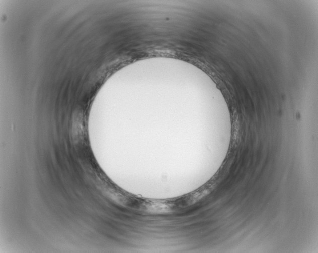 X0000087520518200705112009