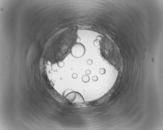 X0000087520519200705112009