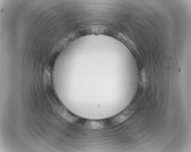 X0000087520522200705112009