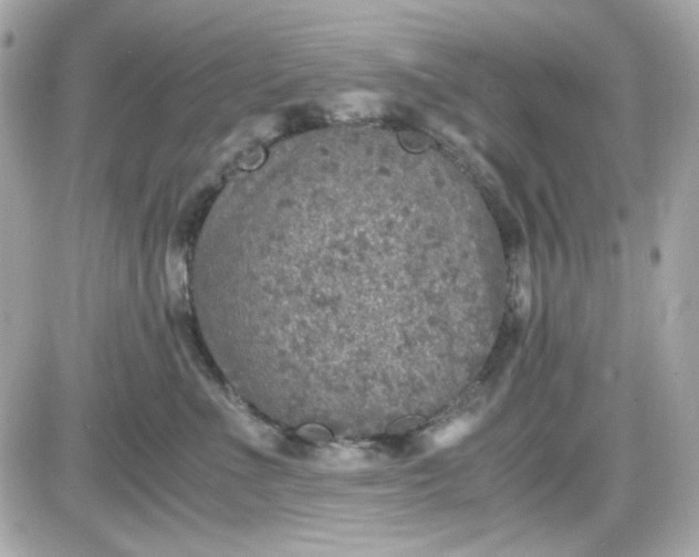 X0000087520523200705112009