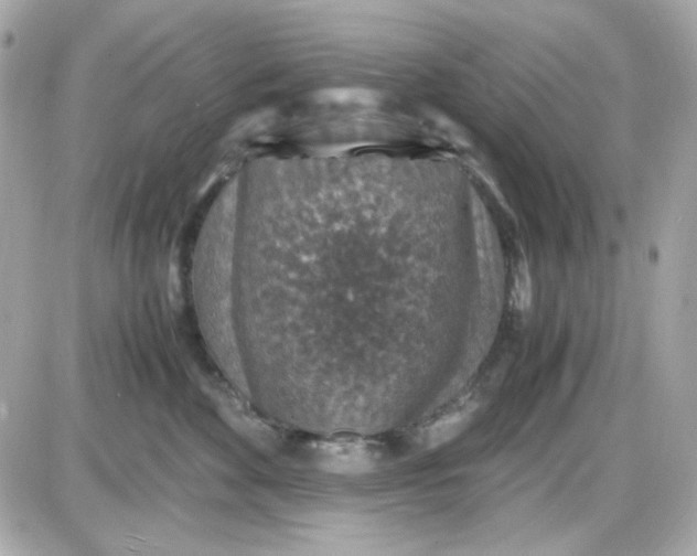 X0000087520524200705112009