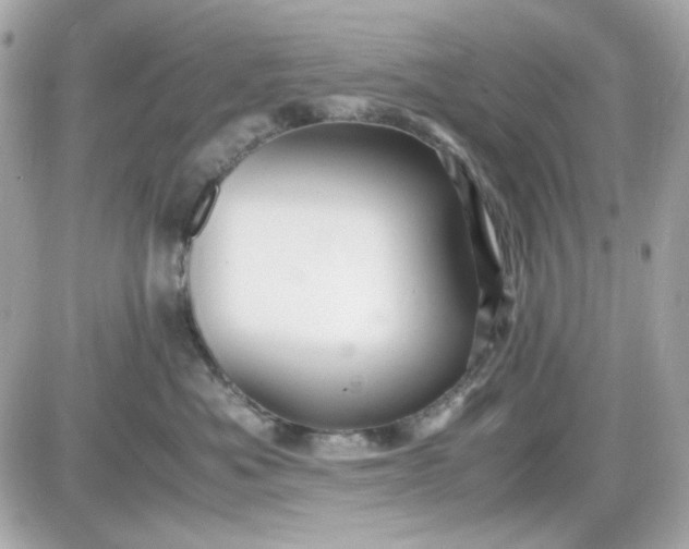 X0000087520525200705112009