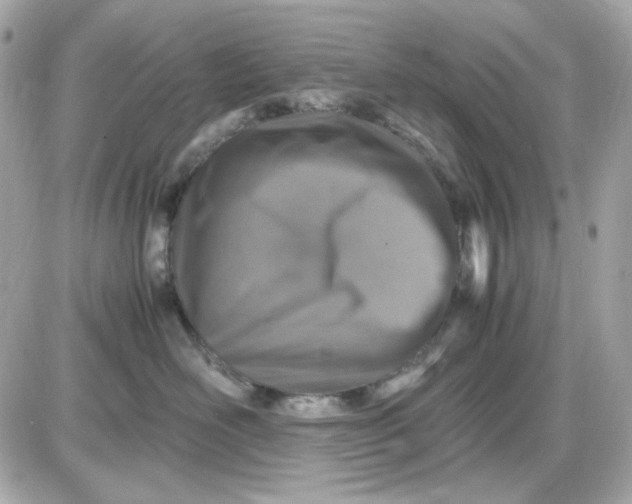 X0000087520526200705112009