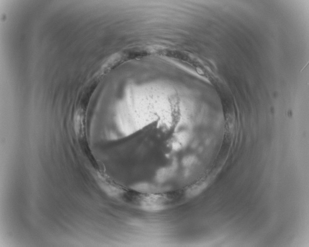 X0000087520527200705112009