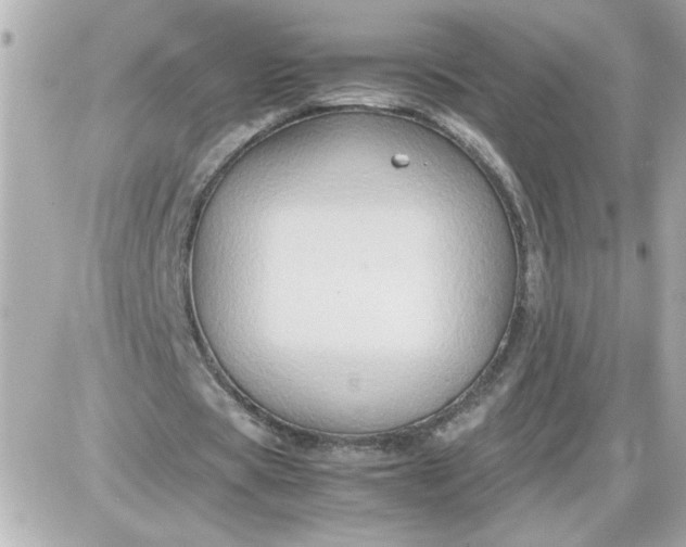 X0000087520529200705112008