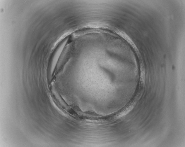 X0000087520530200705112008