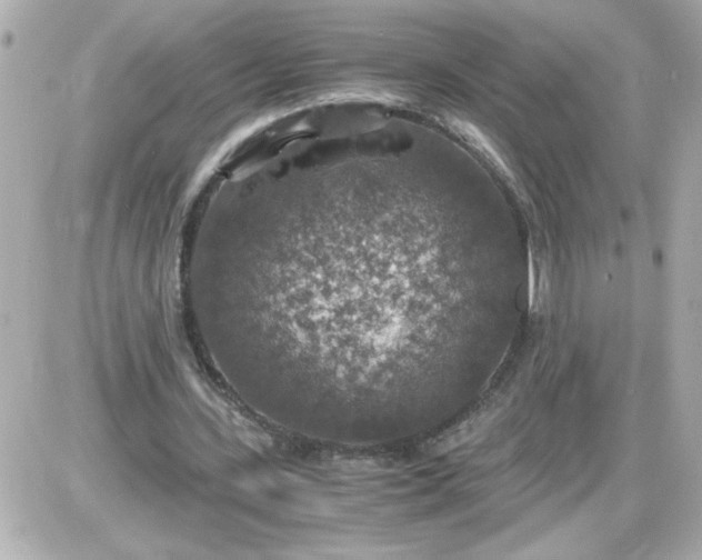 X0000087520531200705112008