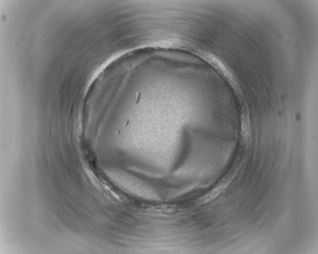 X0000087520532200705112008