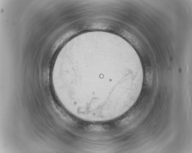 X0000087520534200705112009