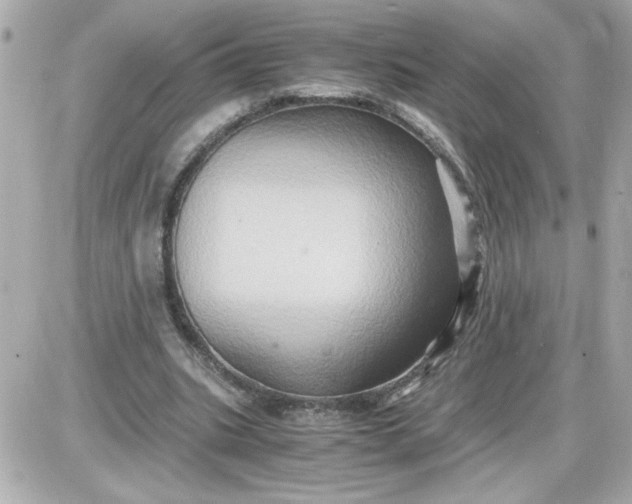 X0000087520535200705112009