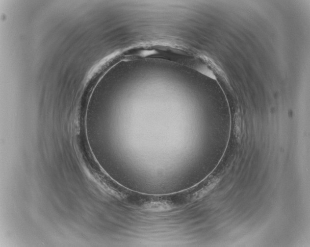 X0000087520536200705112009