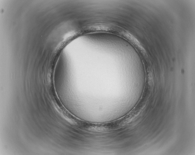 X0000087520537200705112009